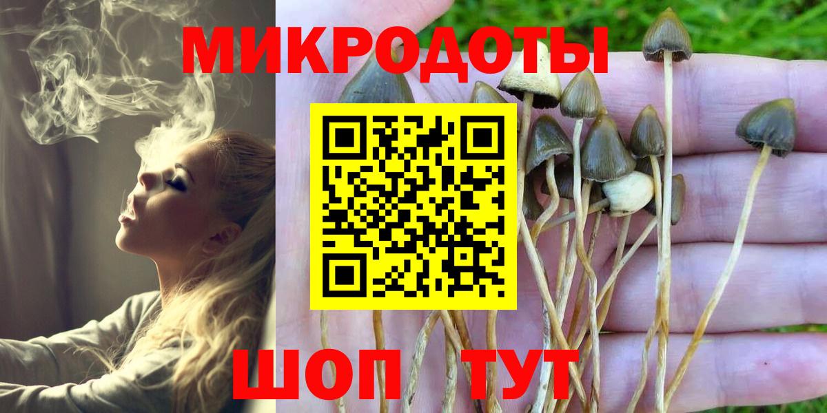 Псилоцибиновые грибы прущие грибы Учалы