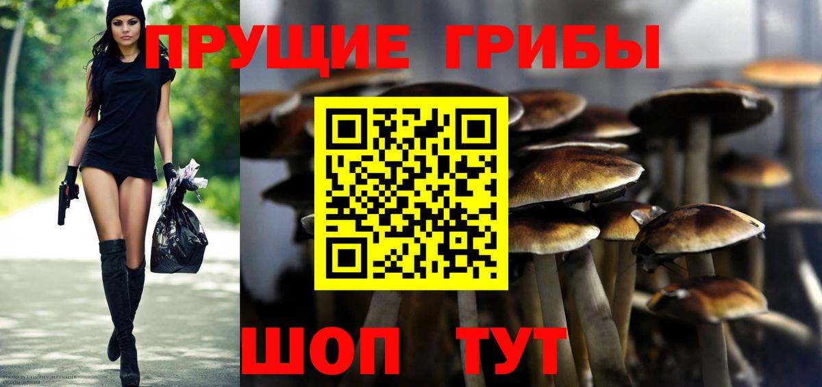хочу наркоту  Псилоцибиновые грибы мухоморы  Вход с VPN  Учалы 